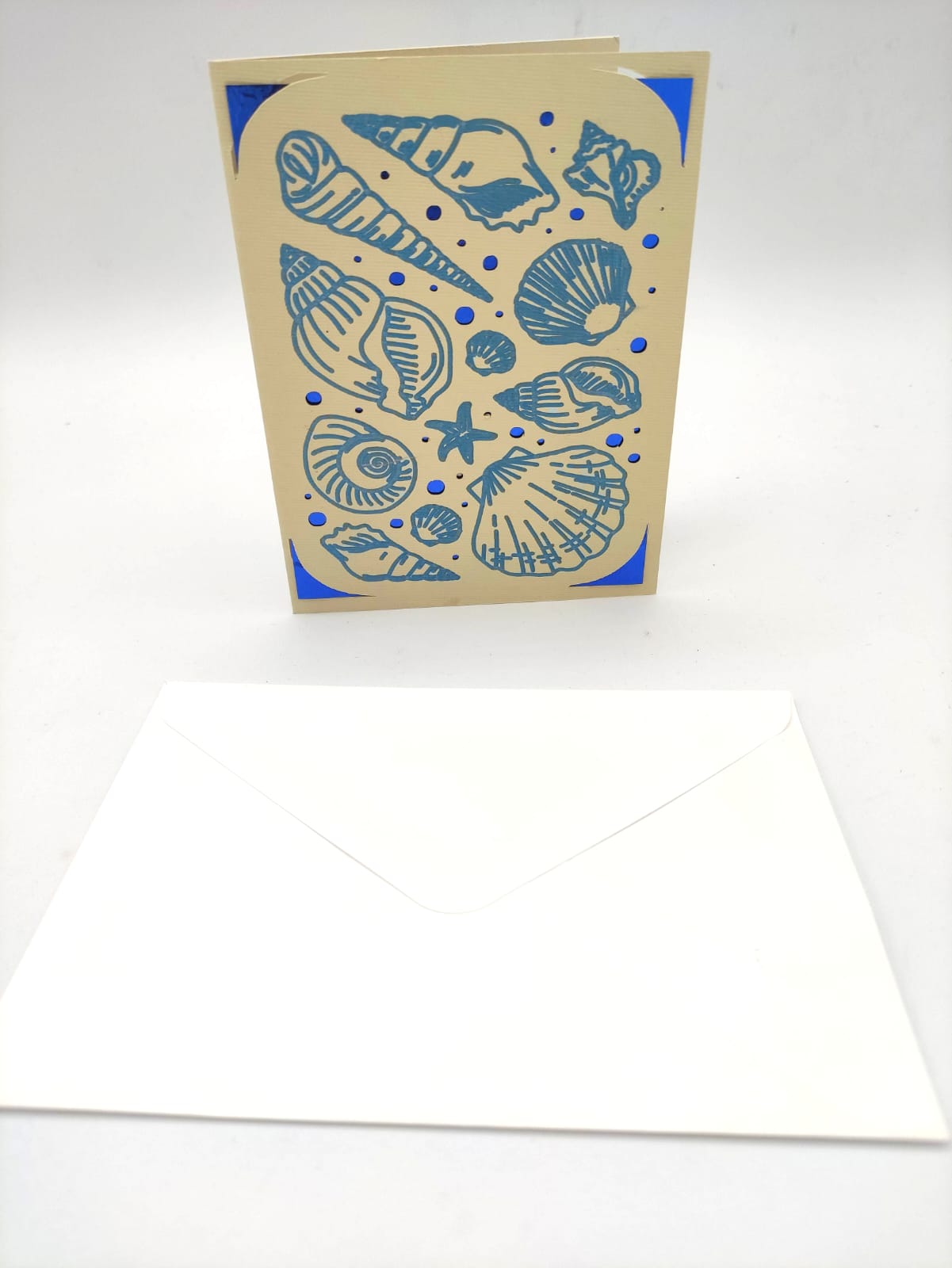 biglietto auguri, cards, gift cards, conchiglie, shells